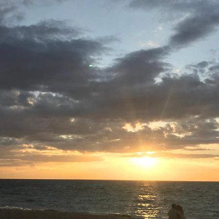哈林海滩 丛林健身房和生态旅馆酒店 外观 照片