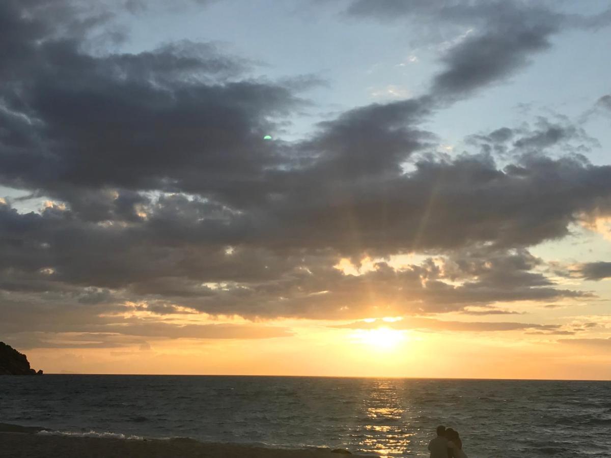 哈林海滩 丛林健身房和生态旅馆酒店 外观 照片